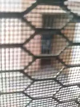 indian_couple4 from StripChat