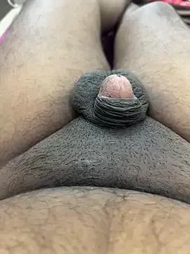indiancock86 from StripChat