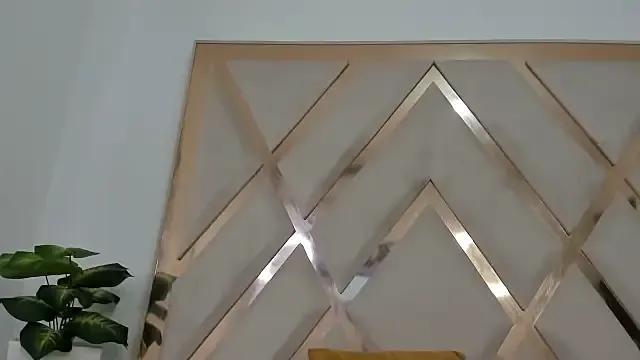 Indiraasm from StripChat