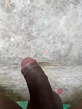 Jellydicks from StripChat