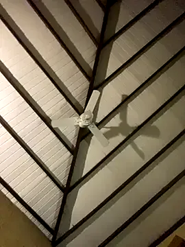 jepetitoiseau on StripChat 