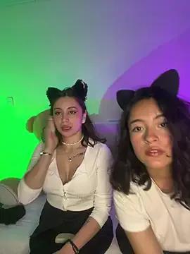 Try our streaming cams variety and talk on a personal level with our adorable girls streamers, showing off their bountiful shapes and dildos.