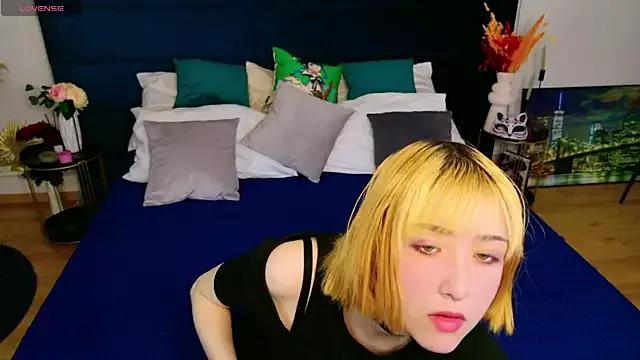 Try our streaming cams variety and talk on a personal level with our adorable girls streamers, showing off their bountiful shapes and dildos.