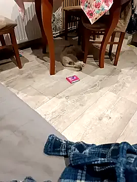 KissMeAss9387 from StripChat