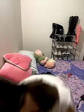 KittieCatty from StripChat