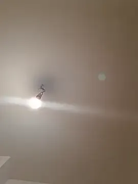 labellerose from StripChat is Freechat