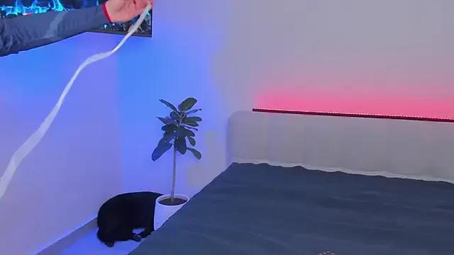 Try our streaming cams variety and talk on a personal level with our adorable girls streamers, showing off their bountiful shapes and dildos.