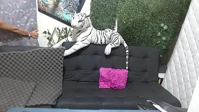Try our streaming cams variety and talk on a personal level with our adorable girls streamers, showing off their bountiful shapes and dildos.
