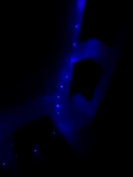 Lil_baby03 from StripChat