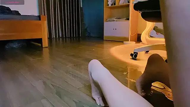 Try our streaming cams variety and talk on a personal level with our adorable girls streamers, showing off their bountiful shapes and dildos.