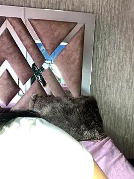 Try our streaming cams variety and talk on a personal level with our adorable girls streamers, showing off their bountiful shapes and dildos.