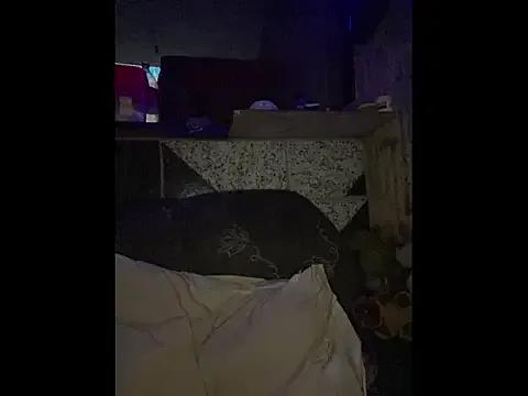 LunaTranss from StripChat is Freechat