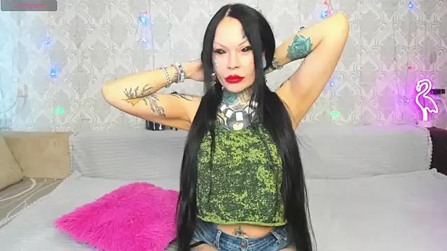 Try our streaming cams variety and talk on a personal level with our adorable girls streamers, showing off their bountiful shapes and dildos.