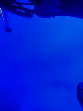 meridacute_ from StripChat is Freechat