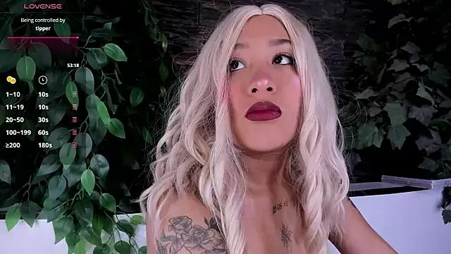 Try our streaming cams variety and talk on a personal level with our adorable girls streamers, showing off their bountiful shapes and dildos.