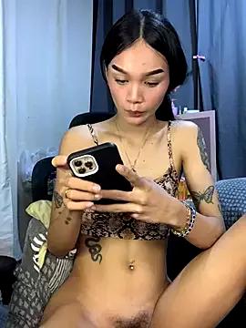 miss_h0tmissy from StripChat is Freechat