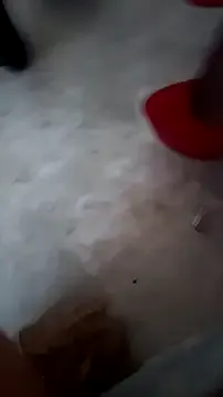 Misspadrona88 on StripChat 