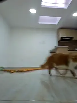 Molly-_- on StripChat 