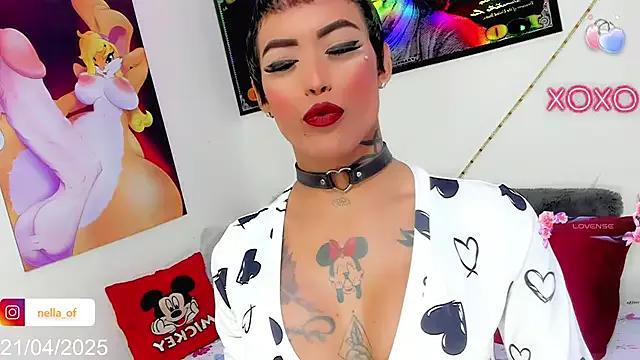 Try our streaming cams variety and talk on a personal level with our adorable girls streamers, showing off their bountiful shapes and dildos.