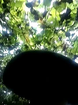 ngan-cute from StripChat is Freechat