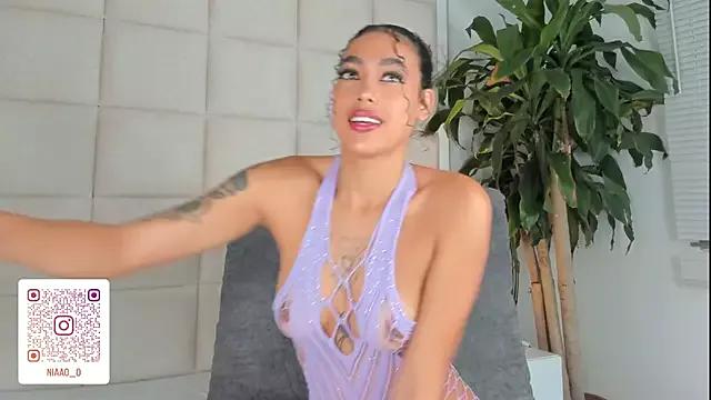 Try our streaming cams variety and talk on a personal level with our adorable girls streamers, showing off their bountiful shapes and dildos.