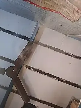 Poojadick on StripChat 