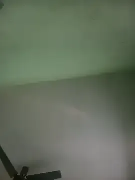 Potti-model-81 from StripChat is Freechat