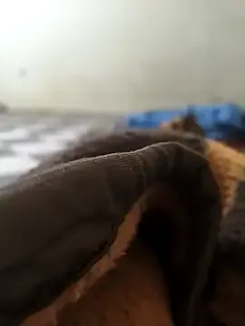 Realverse from StripChat is Freechat