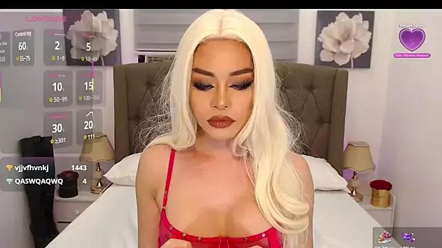 Try our streaming cams variety and talk on a personal level with our adorable girls streamers, showing off their bountiful shapes and dildos.