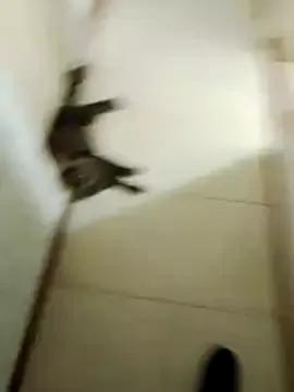 Shadow_Secret from StripChat is Freechat