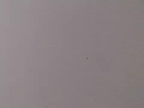 shairaa_brunette from StripChat is Freechat