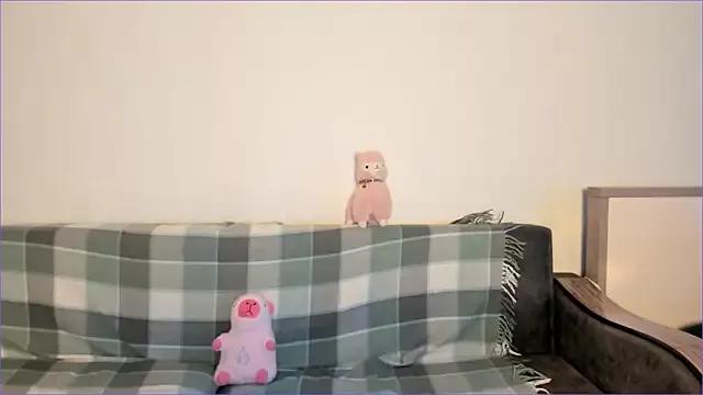Try our streaming cams variety and talk on a personal level with our adorable girls streamers, showing off their bountiful shapes and dildos.