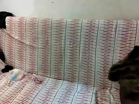 sissyslutbg from StripChat is Freechat