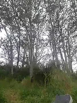 slaveman4you from StripChat is Freechat