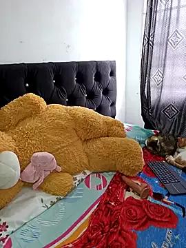 Try our streaming cams variety and talk on a personal level with our adorable girls streamers, showing off their bountiful shapes and dildos.