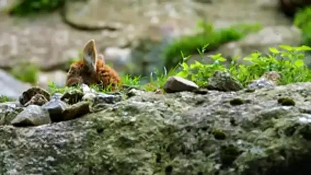 streamy_test13 from StripChat is Freechat