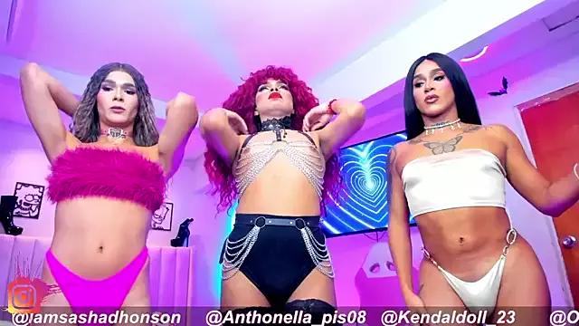 Try our streaming cams variety and talk on a personal level with our adorable girls streamers, showing off their bountiful shapes and dildos.