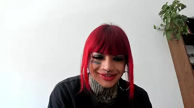 Try our streaming cams variety and talk on a personal level with our adorable girls streamers, showing off their bountiful shapes and dildos.
