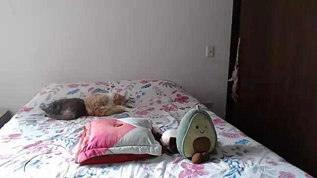 Try our streaming cams variety and talk on a personal level with our adorable girls streamers, showing off their bountiful shapes and dildos.