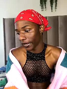 Trans_fairy from StripChat is Freechat