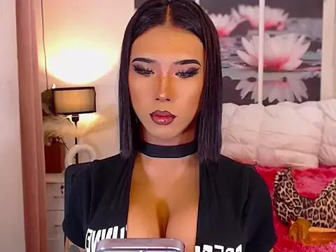 TRANSPORNIDOL from StripChat is Freechat