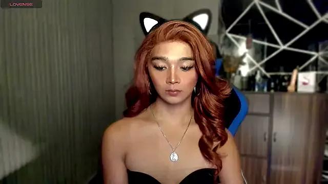 Try our streaming cams variety and talk on a personal level with our adorable girls streamers, showing off their bountiful shapes and dildos.