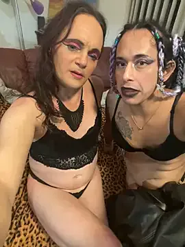 Try our streaming cams variety and talk on a personal level with our adorable girls streamers, showing off their bountiful shapes and dildos.