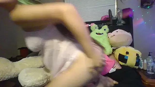 Try our streaming cams variety and talk on a personal level with our adorable girls streamers, showing off their bountiful shapes and dildos.