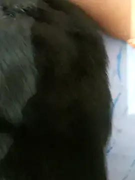 Village_wali_bhabhi on StripChat 